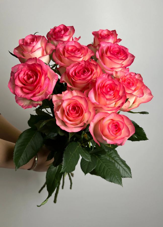 Роза Джумилия 60 см (от 11 шт)