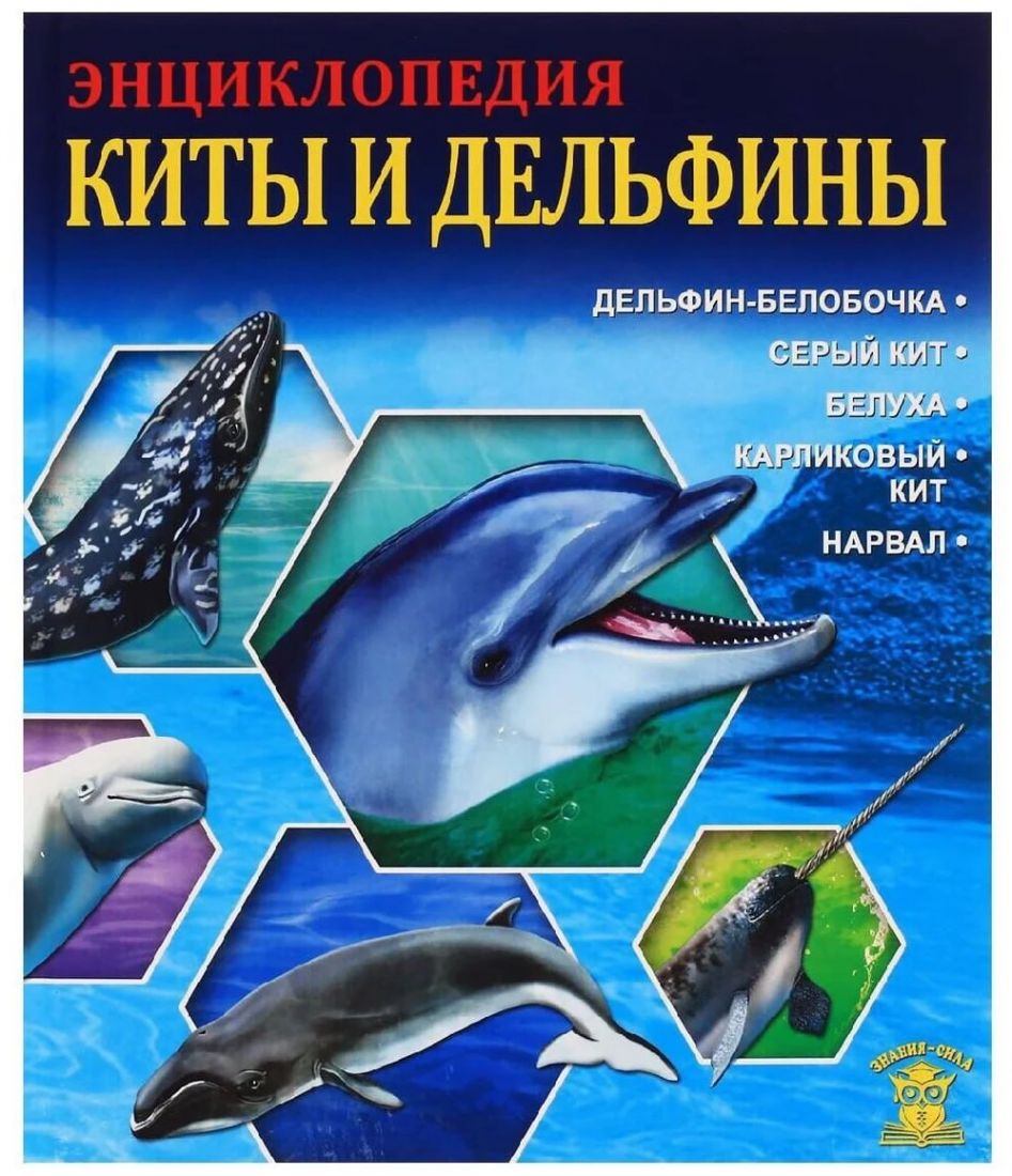 Киты и дельфины. Энциклопедия для детей младшего и среднего школьного возраста