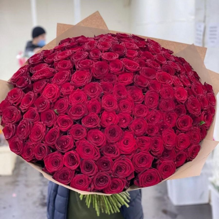 201 красная роза длина 60 - 70 см Эквадор