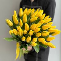 Желтые тюльпаны от 15 шт