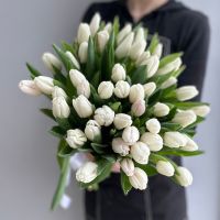 Белые тюльпаны от 15 шт