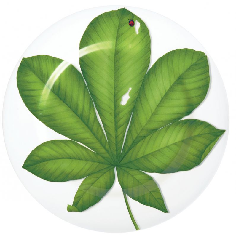 Блюдо сервировочное Leaf, 31,5 см, FREEDOM 1-86-D