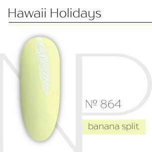 Nartist 864 Banana split 10g