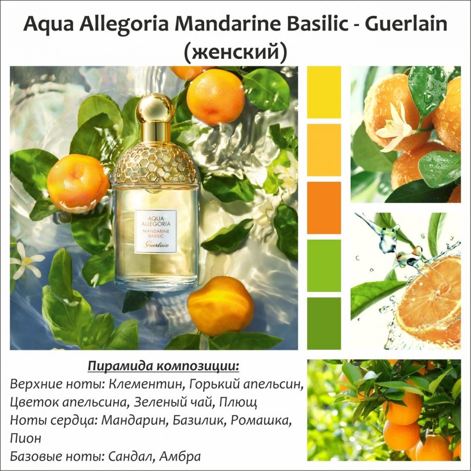 ~Mandarine Basilic  (w) ~