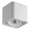 Светильник Накладной Lightstar MONOCCO LED 10W 052116-IP65 Белый, Металл / Лайтстар