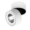 Светильник Накладной Lightstar FORTE IP65 LED 35W 381363 Белый, Металл / Лайтстар