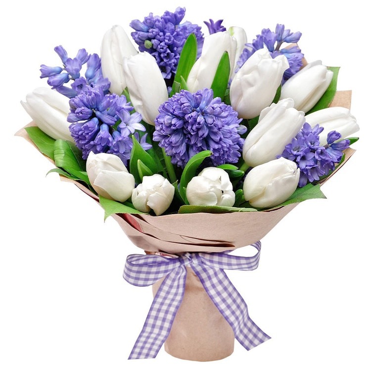 Гиацинты синие и белые тюльпаны