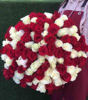 101 красная и белая роза 50 см