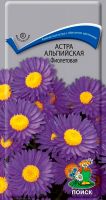 Семена Астра альпийская Фиолетовая  0,04гр.