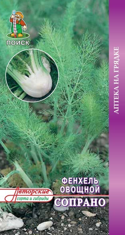 Семена Фенхель овощной Сопрано (А) 1 гр