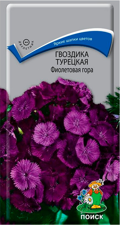 Семена Гвоздика Турецкая Фиолетовая гора 0,25 гр