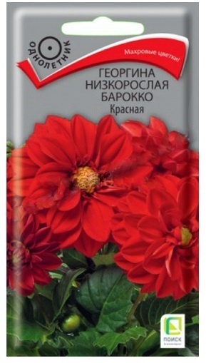 Семена Георгина низкорослая Барокко Красная 0,1 гр