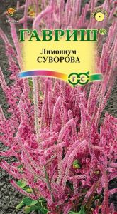 Семена Лимониум Суворова розовы (Кермек) 0,01 г