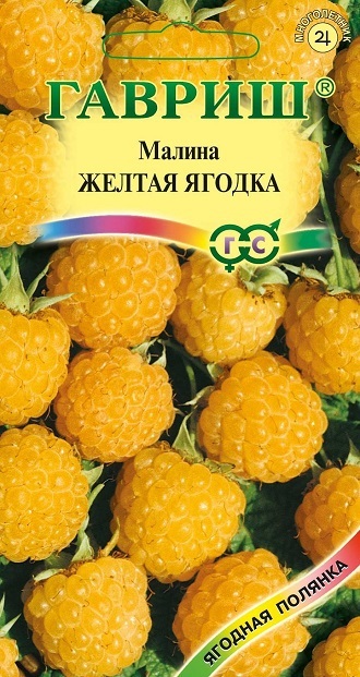 Семена Малина Желтая ягодка 10 шт.