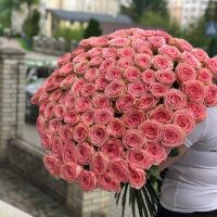 Розы розовые 101 шт 80 см