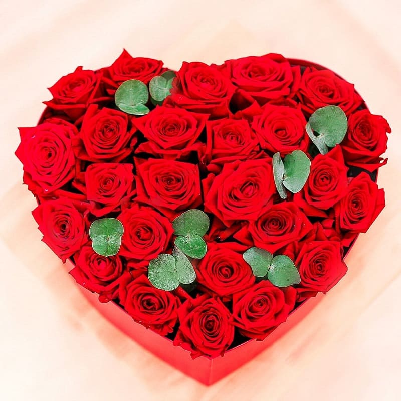 25 красных роз в виде сердца в коробе