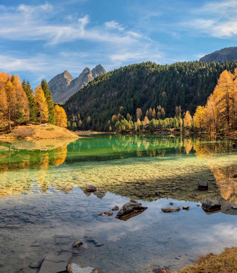 Фотообои Речка в лесу