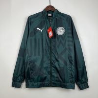 Ветровка Palmeiras 23/24