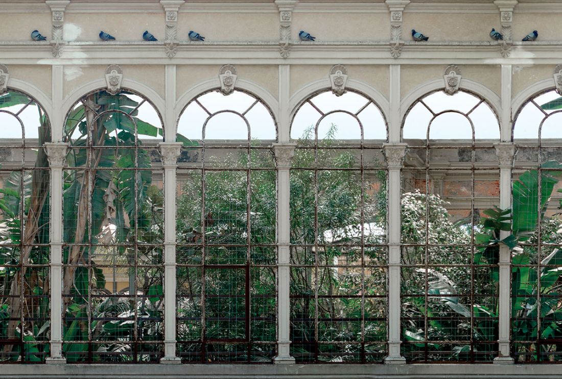 Barelonian greenhouse