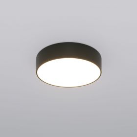Потолочный светильник Eurosvet 90318 / 1  Черный / Евросвет
