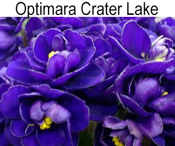 Optimara  Crater Lake