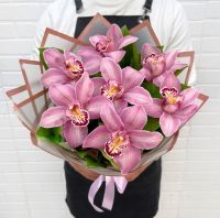 7 розовых орхидей