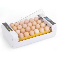 Инкубатор HHD на 24 яйца автоматический переворот, цифровой дисплей