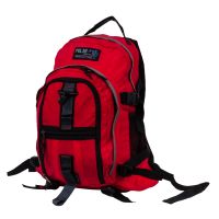 Городской рюкзак П1955 (Красный) POLAR S-4617821955011