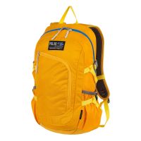 Рюкзак П2171-03 желтый (Желтый) POLAR S-4617822171038