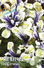 Iris-setchatyj-Aj-Ketcher-Iris-reticulata-039-Eye-Catcher-039-6-1-sht