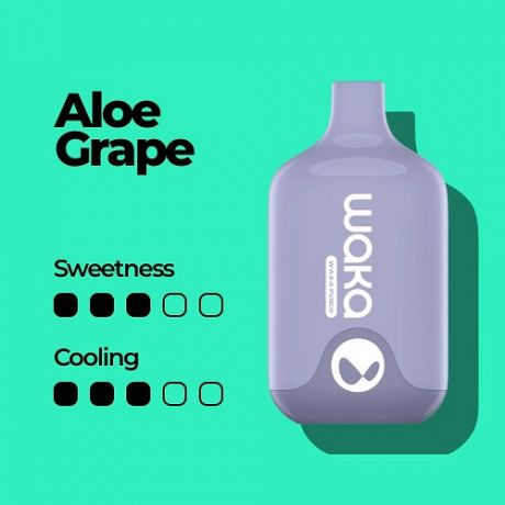 WAKA SMASH 6000 - Aloe Grape