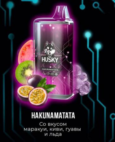HUSKY CYBER 8000 - Hakunamatata