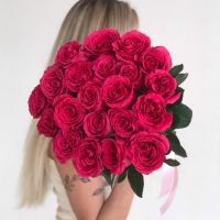 Розовые розы Эквадорские