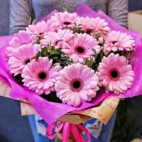 11 розовых гербер в красивой упаковке