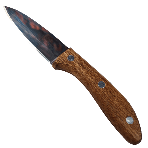 190 Фруктовый нож с деревянной рукояткой - 250мм (6) / Арт: SM6114 *12*