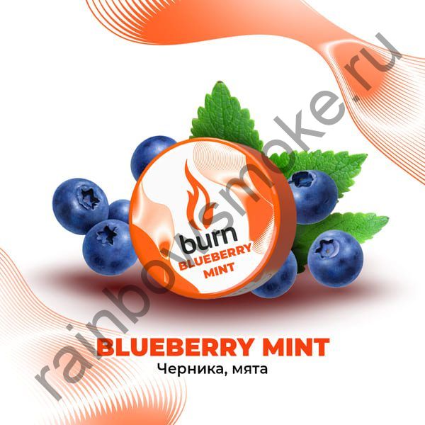 Burn 200 гр - Blueberry Mint (Черника Мята)