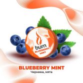 Burn 200 гр - Blueberry Mint (Черника Мята)