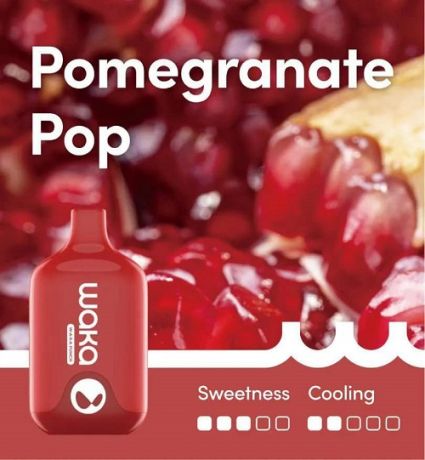 WAKA SMASH 6000 - Pomegranate Pop