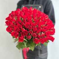 Розы Кения Акция 101 шт красные