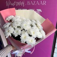 Хризантемы в упаковке (от 7 штук)