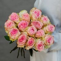 15 розовых роз 60см Эквадор