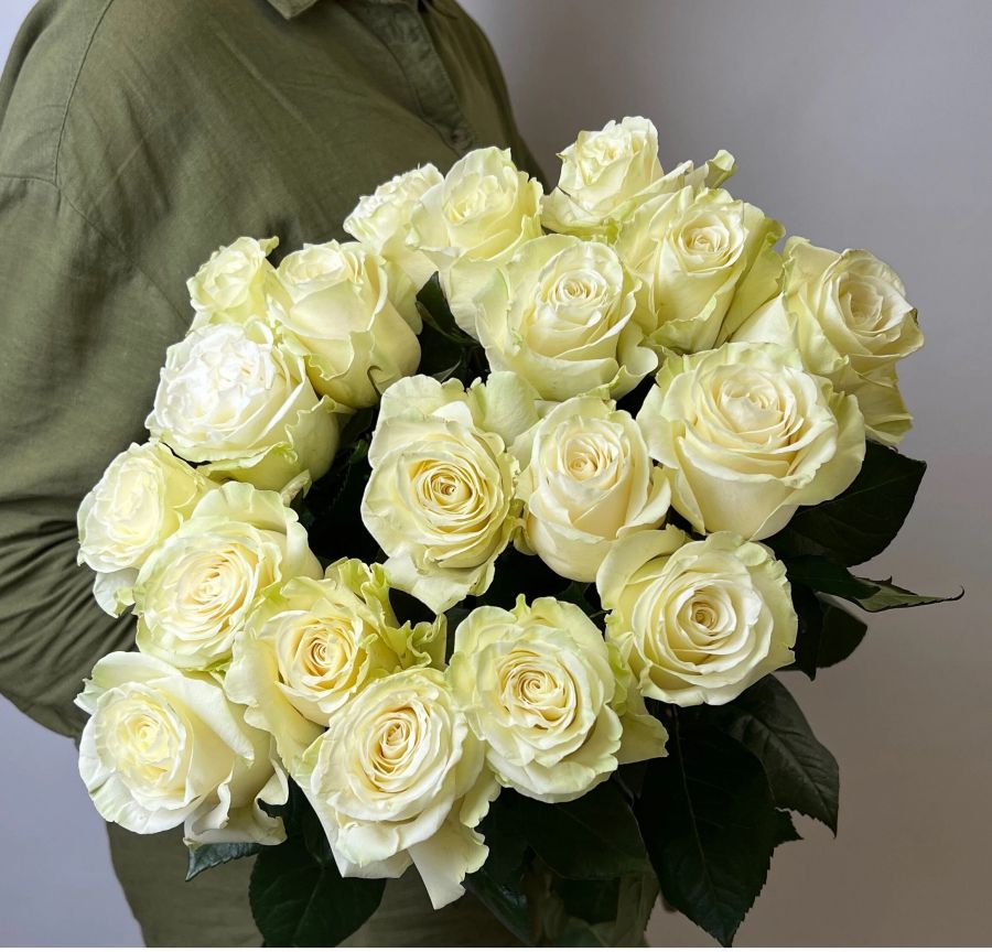 Белые розы Эквадор длина 70 см от 7 штук