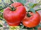 Tomat-Chelyaba-Kollekcionnyj-Myazinoj-5-sht