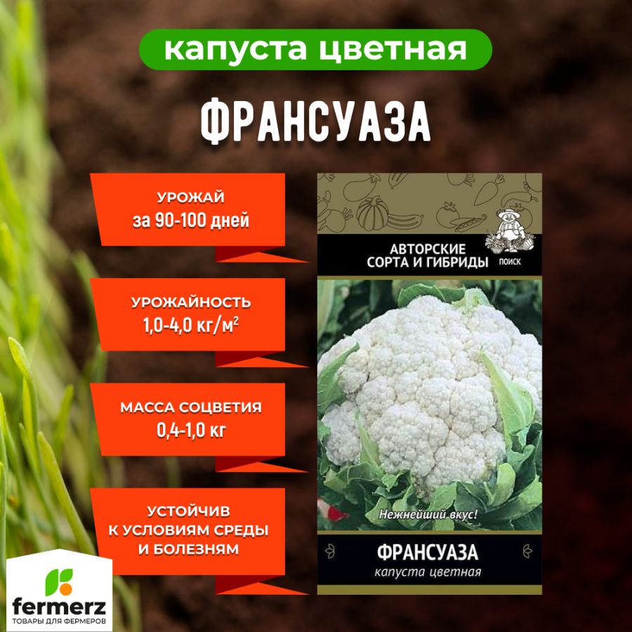 Семена Капуста цветная Франсуаза 0,5гр. купить за 50 рублей в  интернет-магазине fermerz.ru. Доставка по всей России. Продажа | Цена |  Отзывы