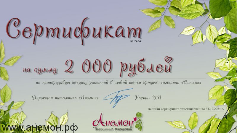 Подарочный сертификат на растения (2 000 рублей)