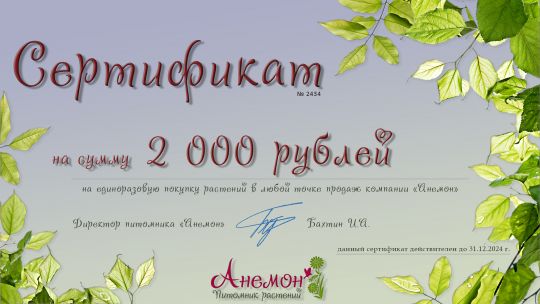 Подарочный сертификат на растения (2 000 рублей)