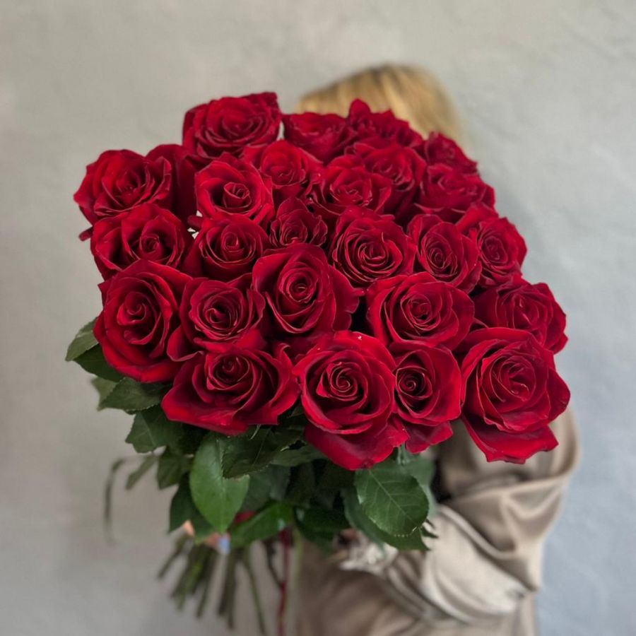 Красные розы Эквадор от 5 шт (60 см)