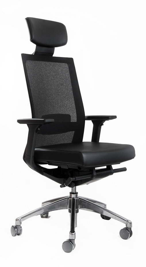 Эргономичное кресло  A1 (каркас черный/экокожа черный)
