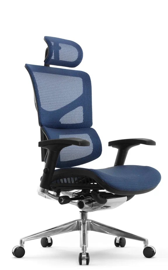 Эргономичное сетчатое кресло Sail  (сетка синий/ каркас черный)