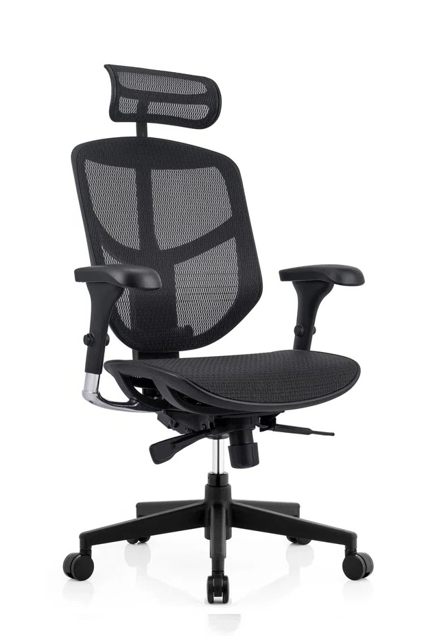 Эргономичное ортопедическое кресло ENJOY PROJECT 2 (Каркас чёрный/ сетка чёрная)